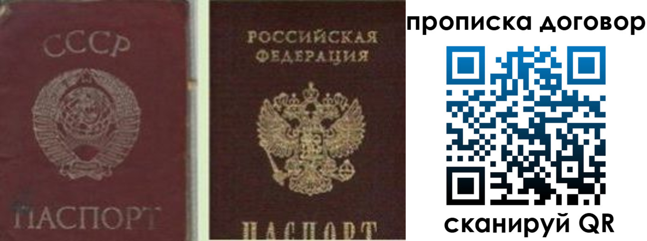 прописка гарантия в Борзе